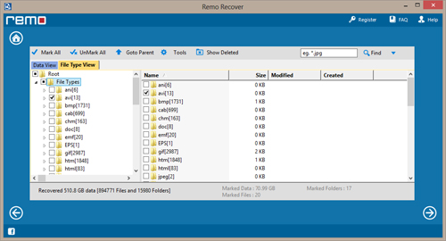 Recover Corrupted Memory Stick - Data View / File Type View - Screen