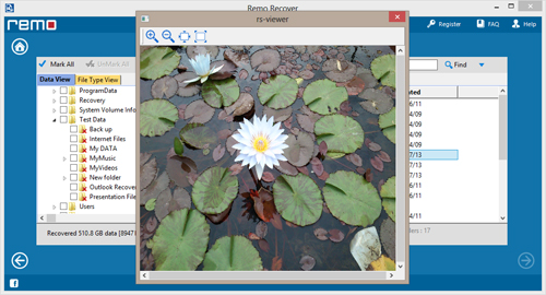 JPG Recovery - Recovere JPG Image Files - Preview Screen